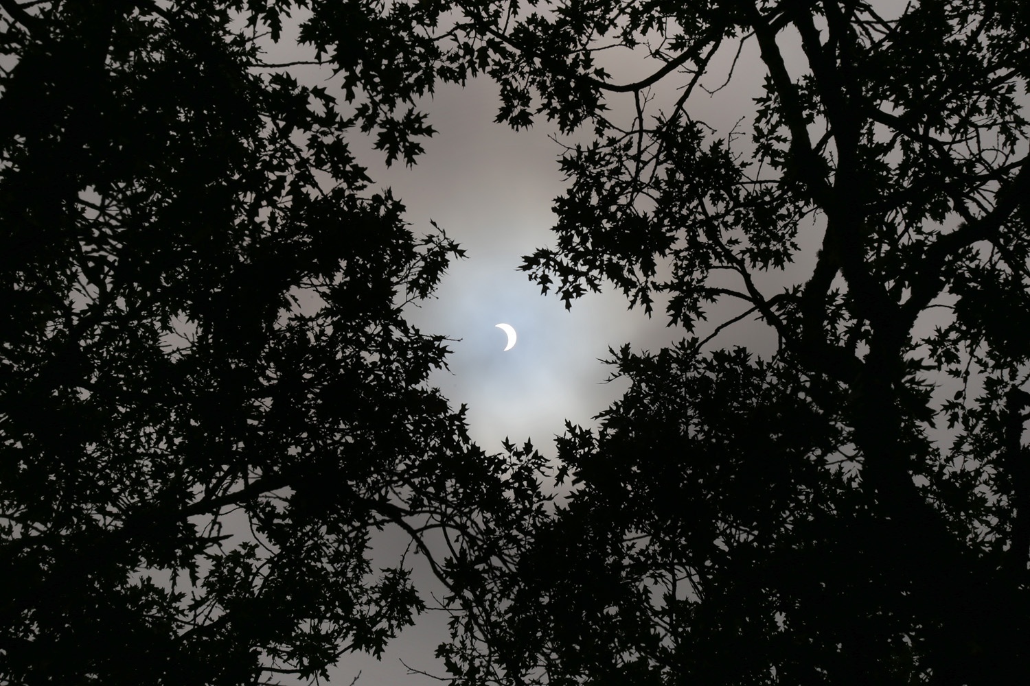 bill-hocker-solar-eclipse-napa-california-10:45am-pdt-2017