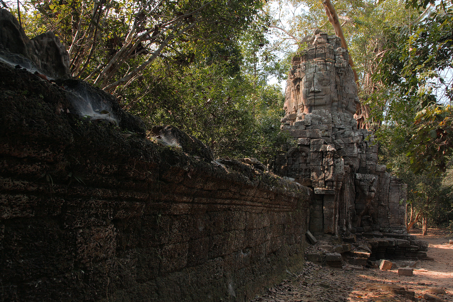 bill-hocker-ta-prohm-north-entry-angkor-cambodia-2010