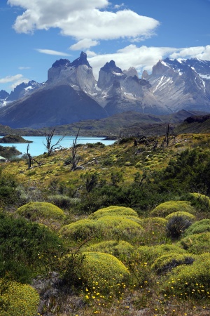 Torres Del Paine National Park
Patagonia, Chile