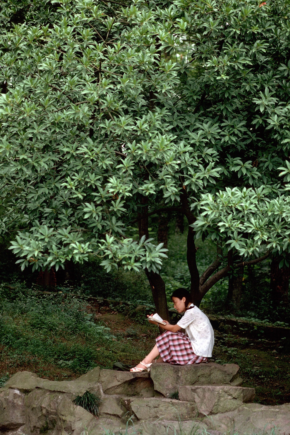 bill-hocker-public-park-hangzhou-china-1981