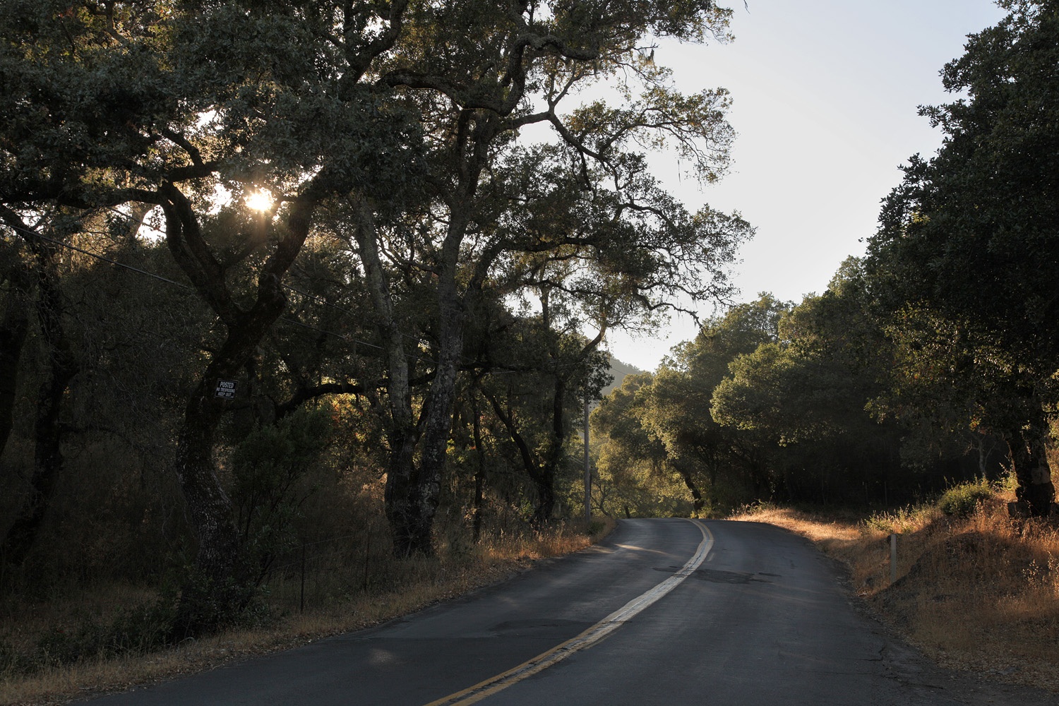 bill-hocker-soda-canyon-road-napa-california-2014