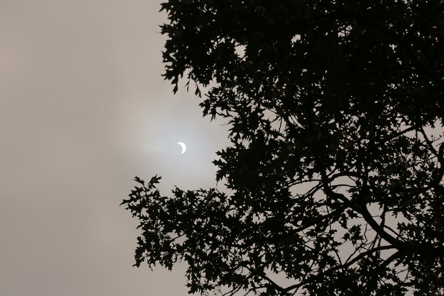 bill-hocker-solar-eclipse-napa-california-august-21-2017-10:45am-pdf-2017