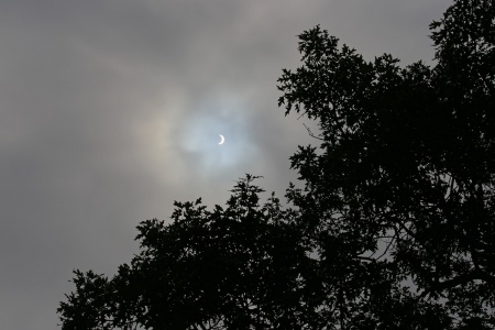 Solar Eclipse
Napa, California
August 21,  10:34am pdf