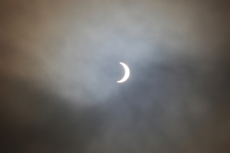 Solar Eclipse
Napa, California
August 21, 10:31am pdt