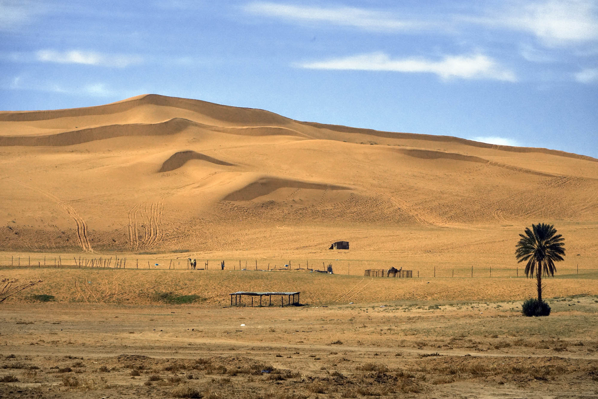 bill-hocker-dune-ridge-rughabah-saudi-arabia-2024