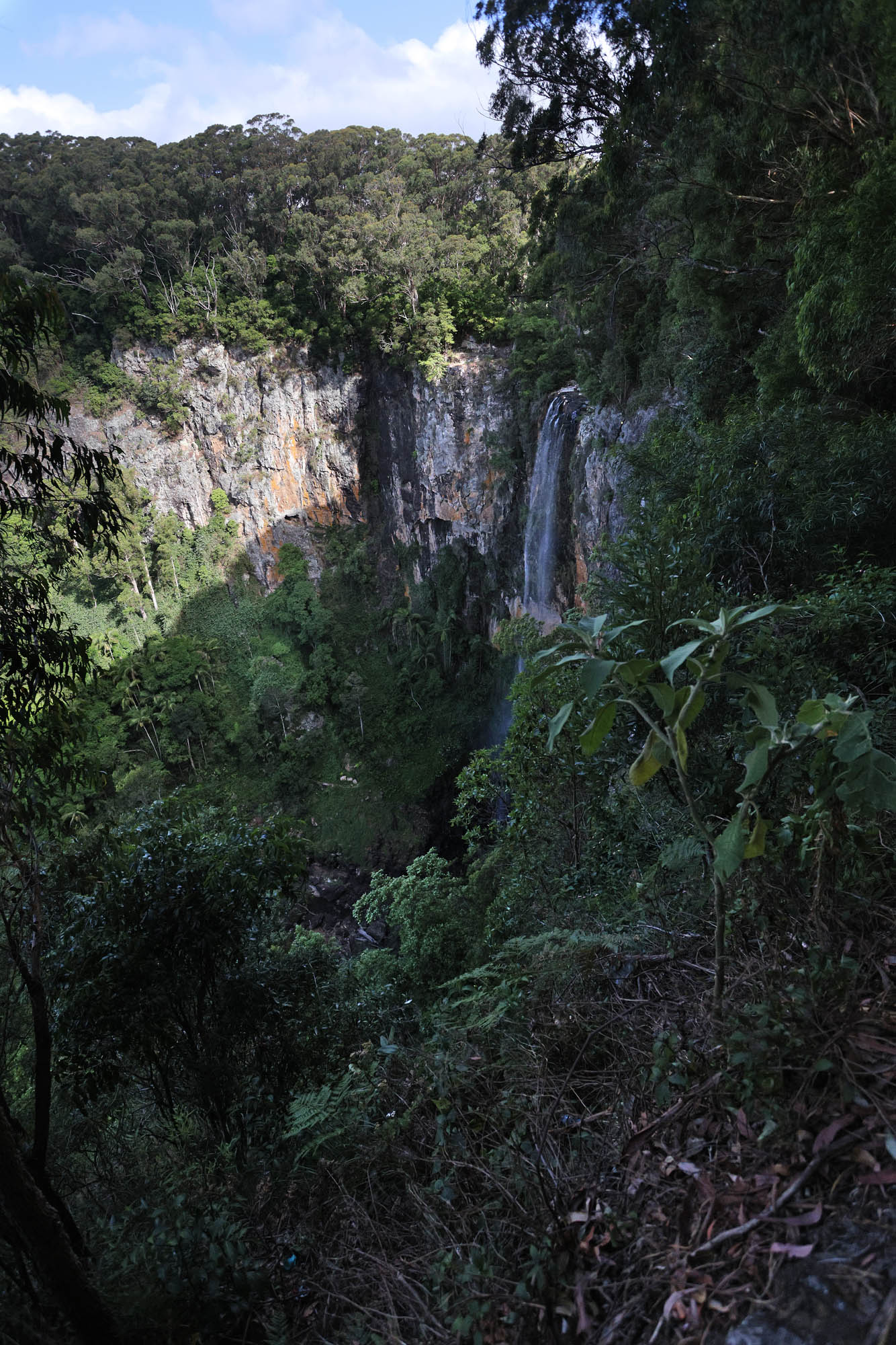 bill-hocker-purling-brook-falls-springbrook-national-park-australia-2022