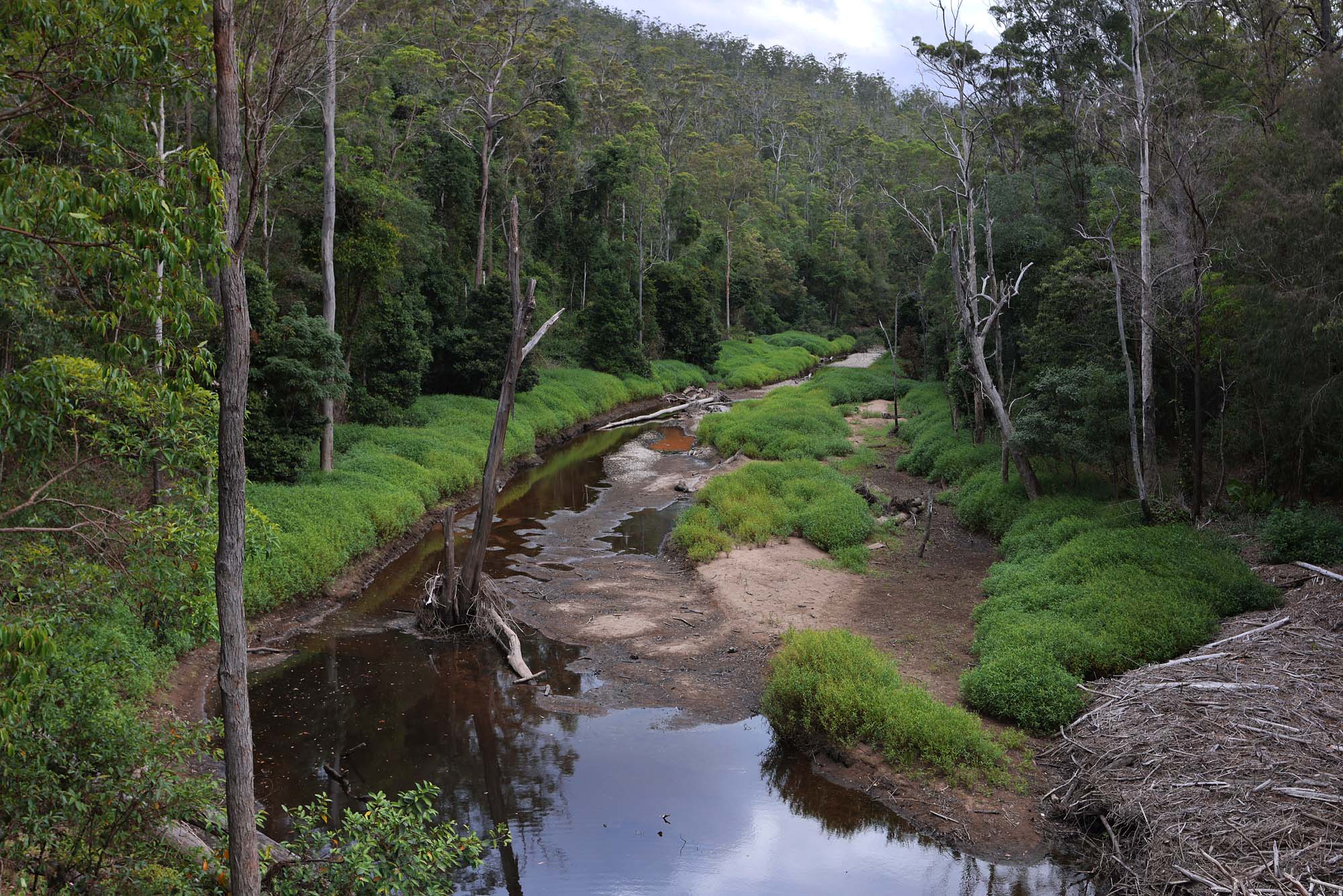 bill-hocker-springbrook-national-park-australia-2022