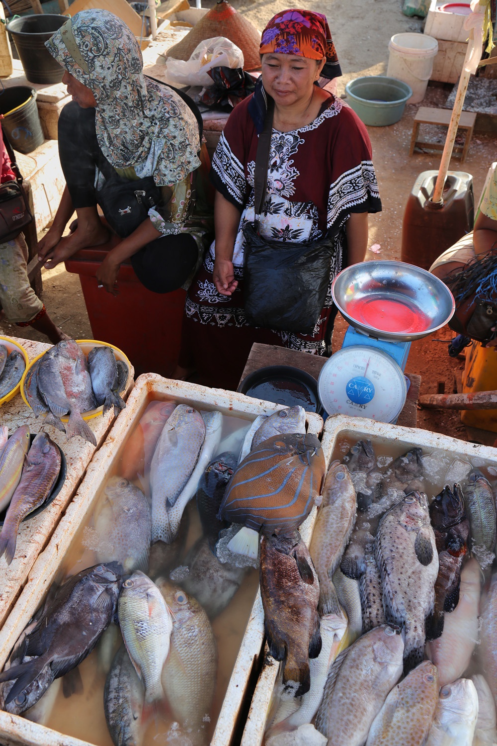 bill-hocker-fish-market-kedonganan-beach-jimbaran-bali-indonesia-2016