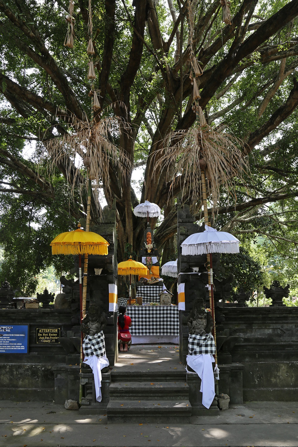 bill-hocker-pura-tirta-empul-temple-bali-indonesia-2016
