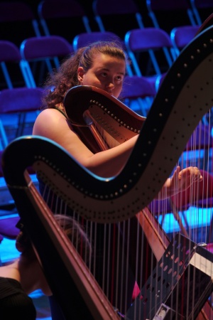 Harpist
Musici Europae Orchestra
BCCO France Concert Tour
Halle aux Grains
Blois, France