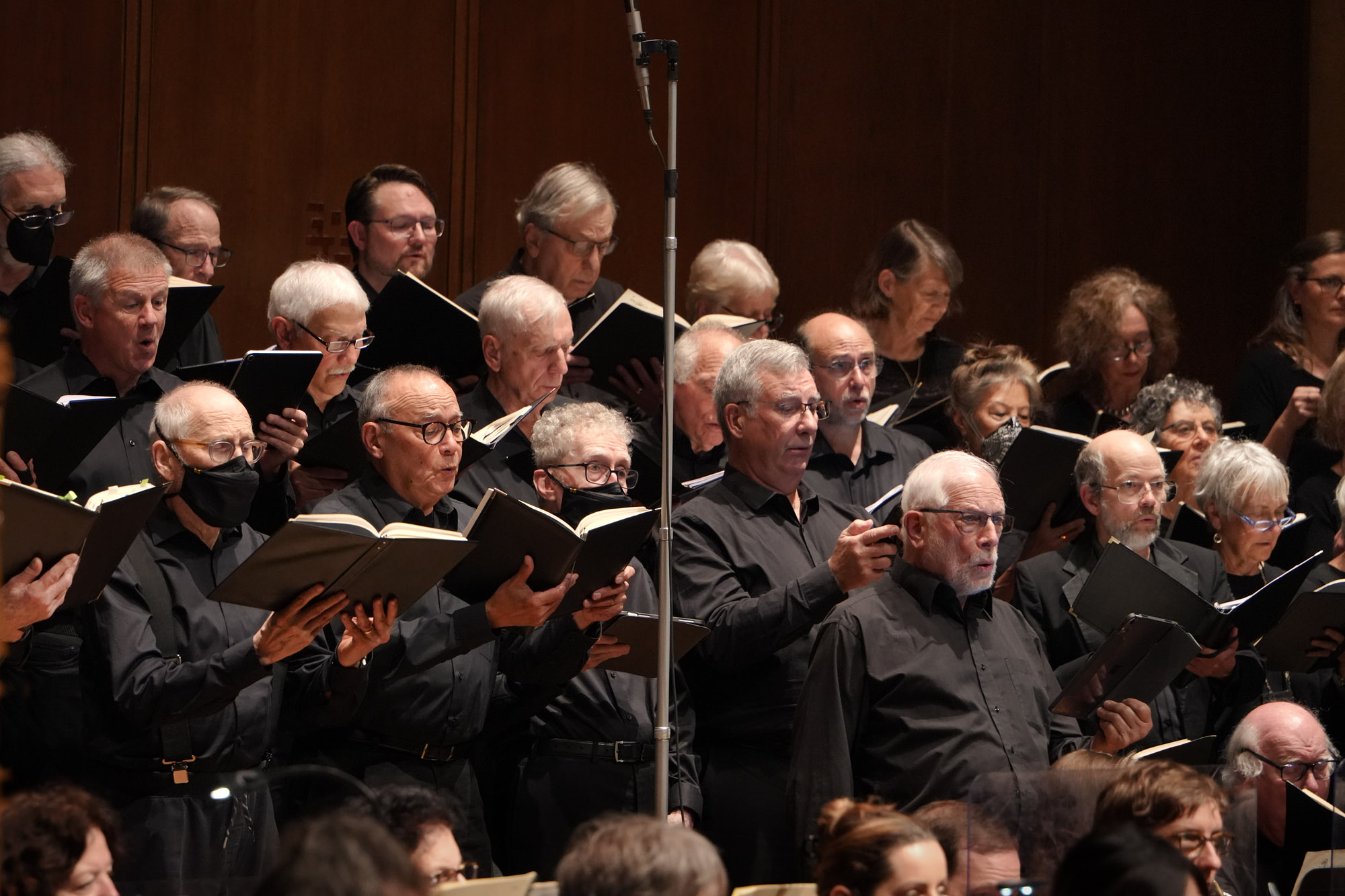 bill-hocker-basses-bcco-spring-concert-hertz-hall-berkeley-california-2024