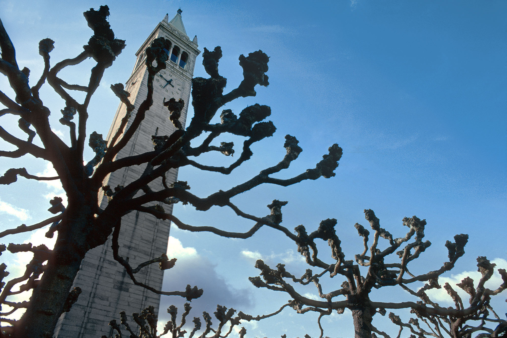 bill-hocker-campanile-esplanade-uc-berkeley-berkeley-california-1974