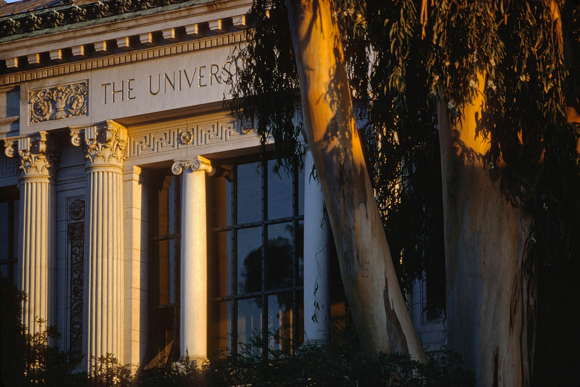 bill-hocker-doe-library-uc-berkeley-berkeley-california-1978