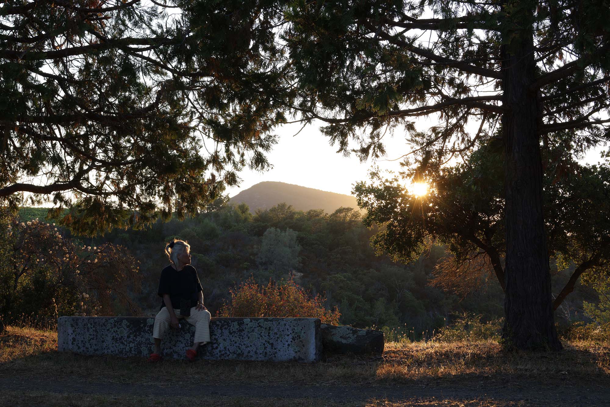 bill-hocker-mui-haystack-twin-brook-farm-napa-county-california-2023