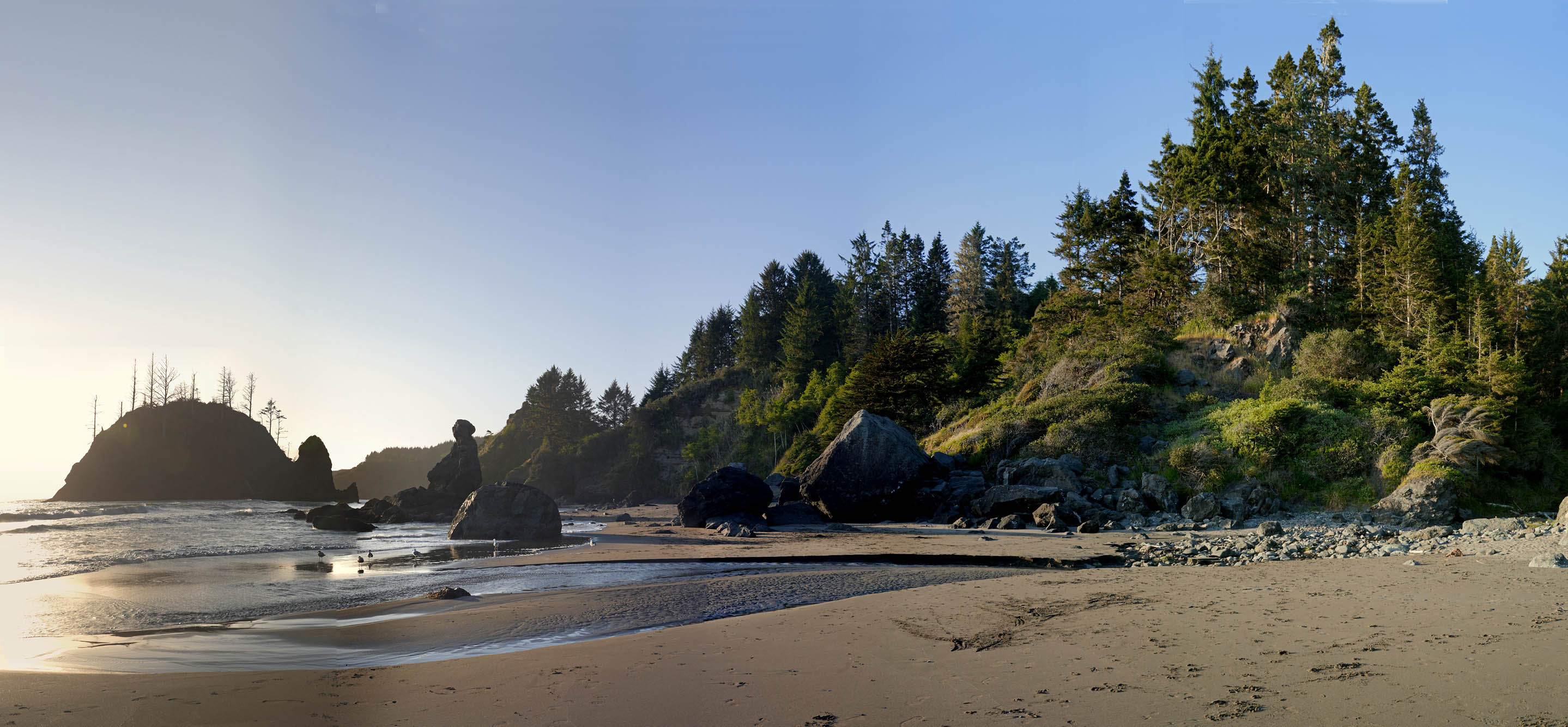 bill-hocker-trinidad-state-beach-humboldt-county-california-2024