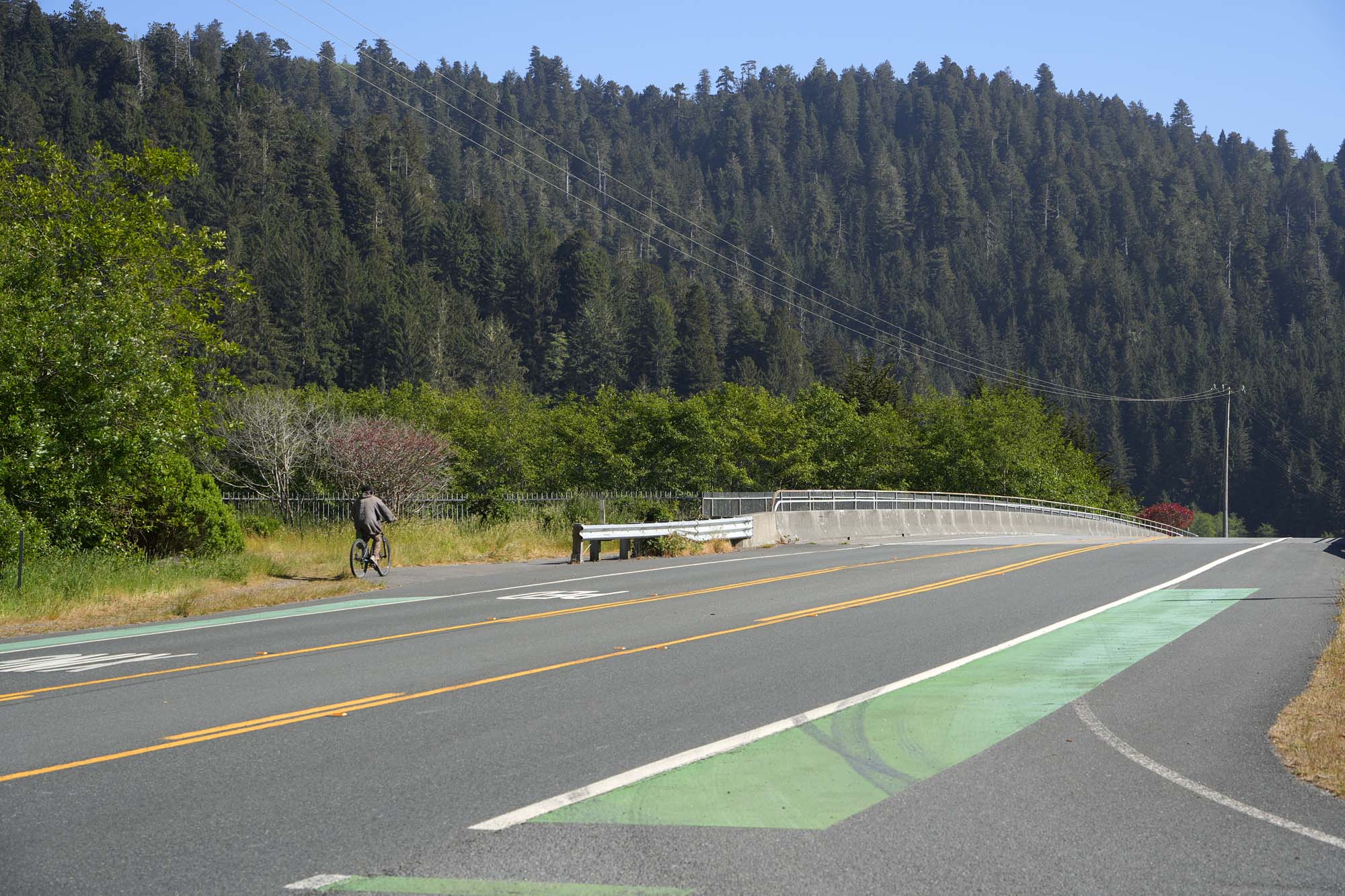 bill-hocker-redwood-creek-bridge-orcik-calfiornai-2024