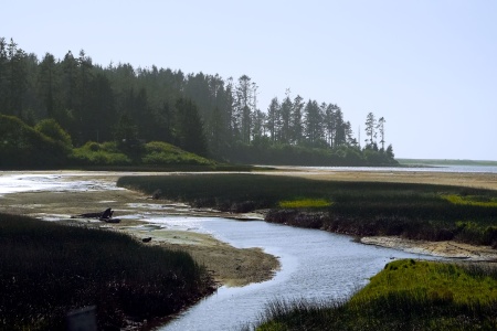 Creek into Big Lagoon
Humboldt Lagoons State Park
Near Orick, California