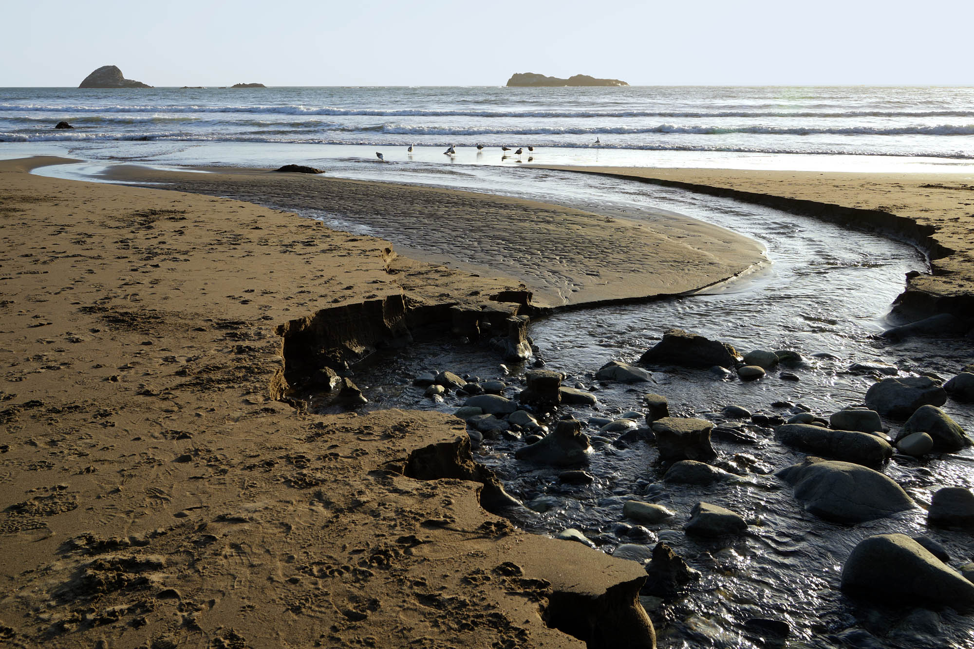 bill-hocker-trinidad-state-beach-humboldt-county-california-2024