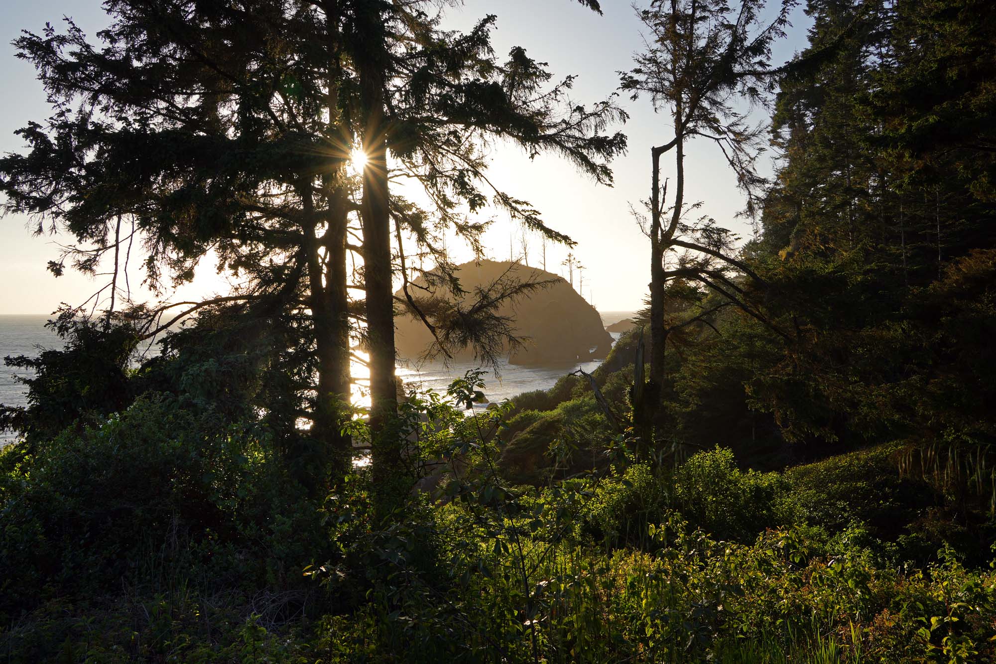 bill-hocker-trinidad-beach-state-park-humboldt-county-california-2024