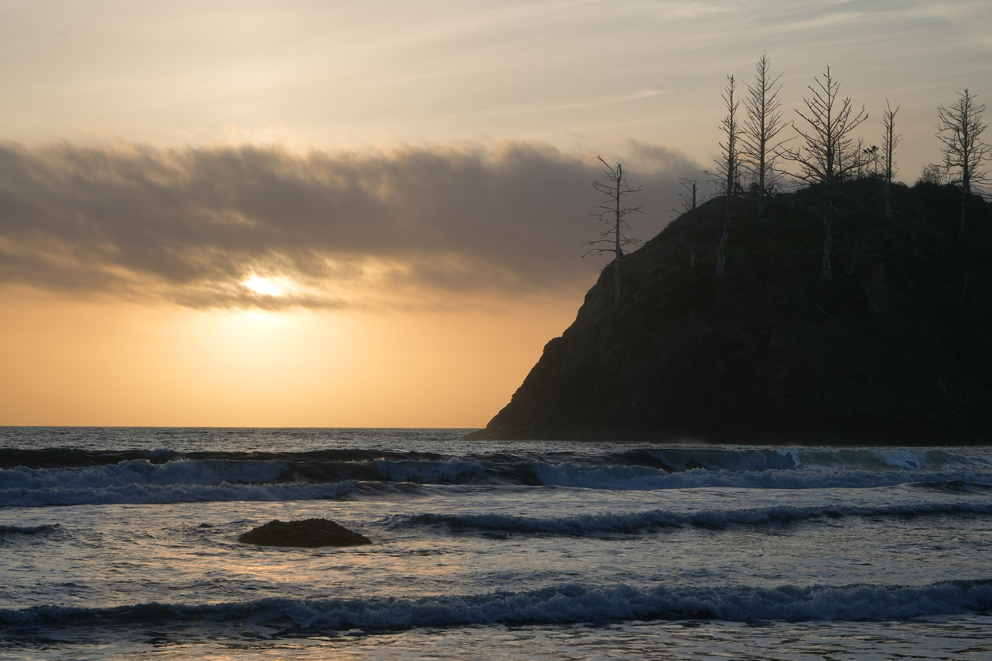 bill-hocker-trinidad-state-beach-humboldt-county-california-2024