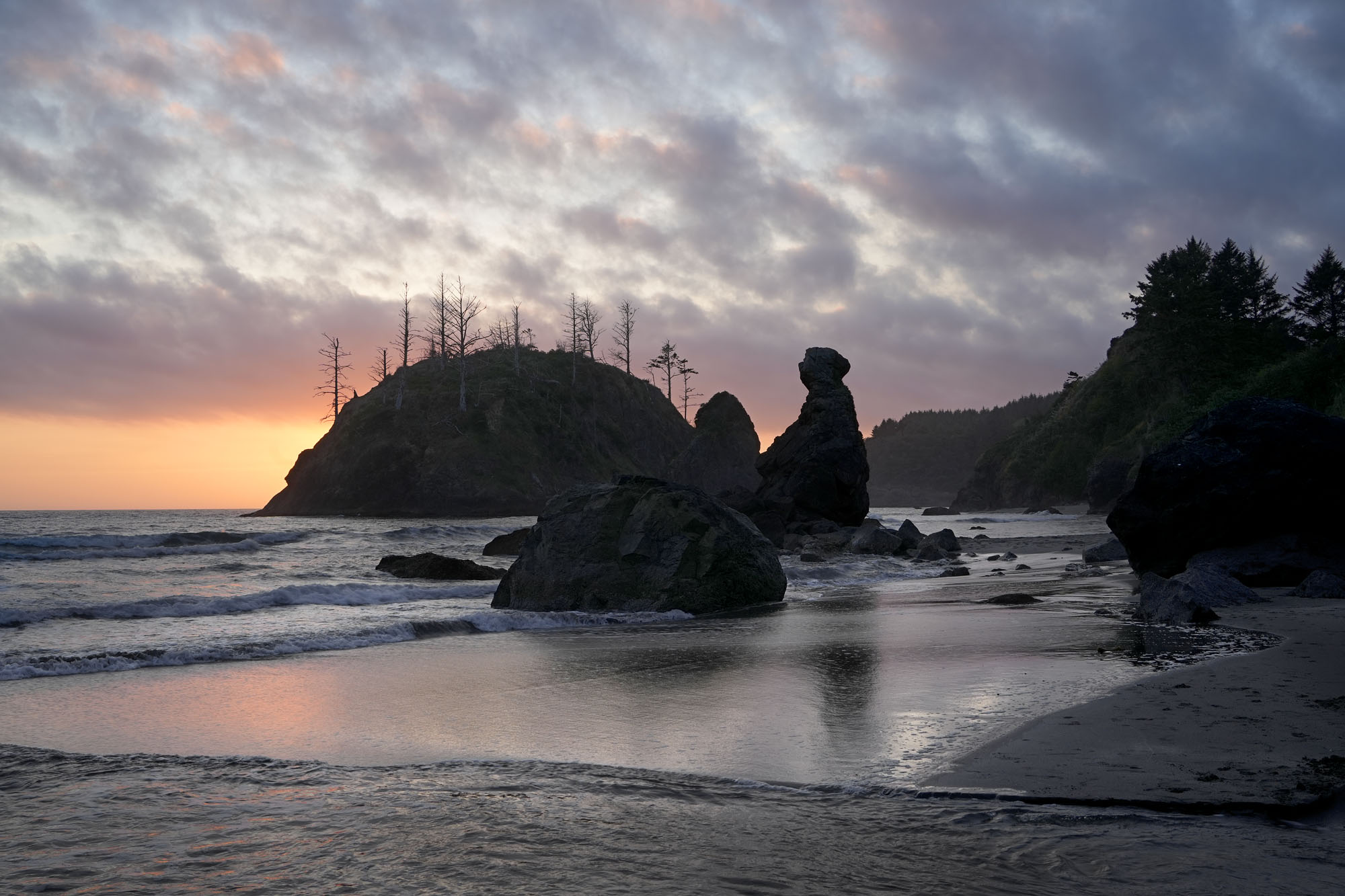 bill-hocker-trinidad-state-beach-humboldt-county-california-2024