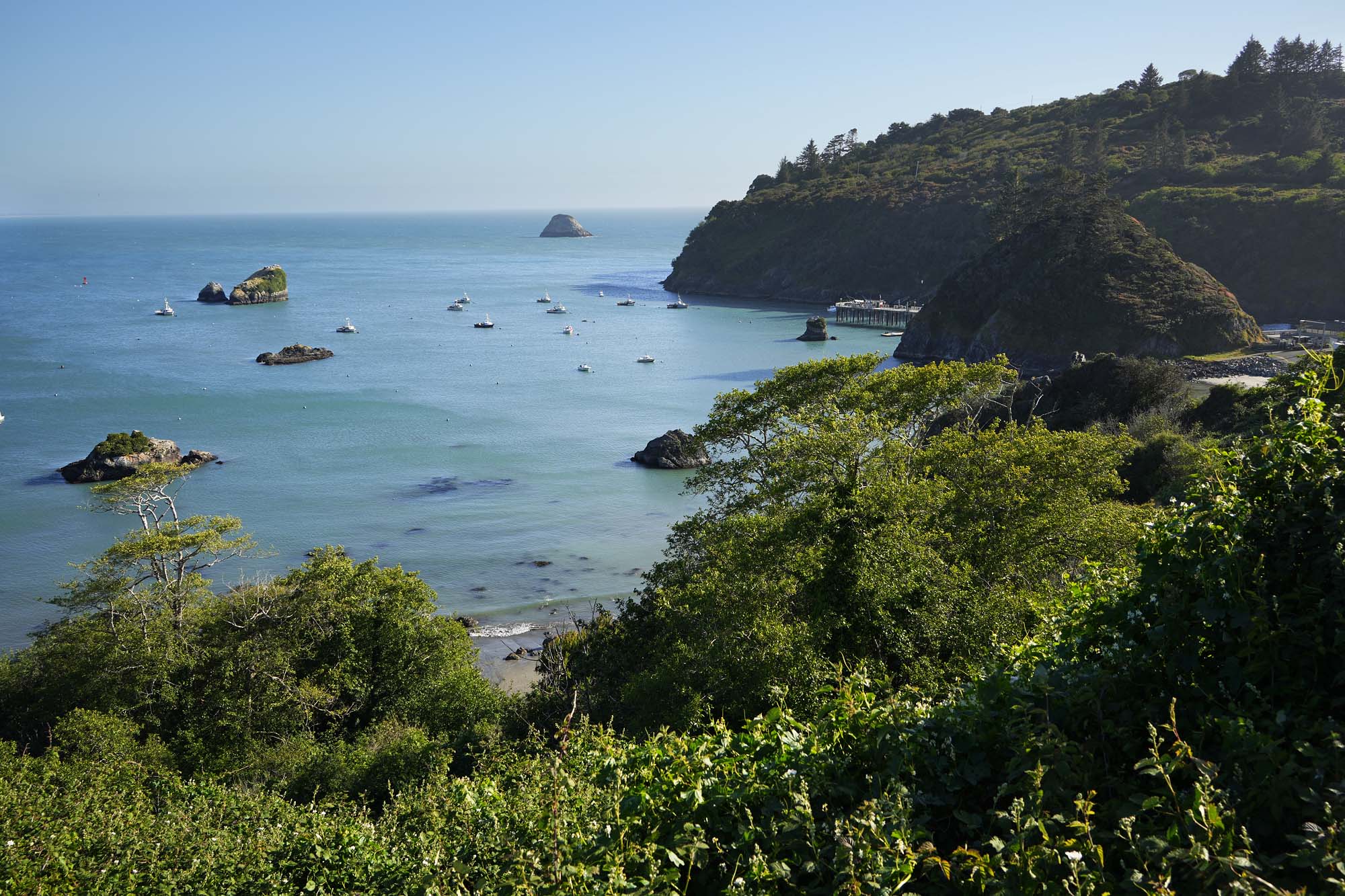 bill-hocker-trinidad-beach-harbor-trinidad-humboldt-county-california-2024