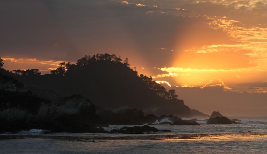 Pt Lobos, California