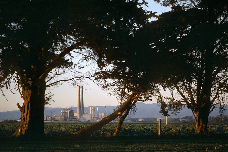 bill-hocker-artichokes-&-power-plant-moss-landing-california-1981