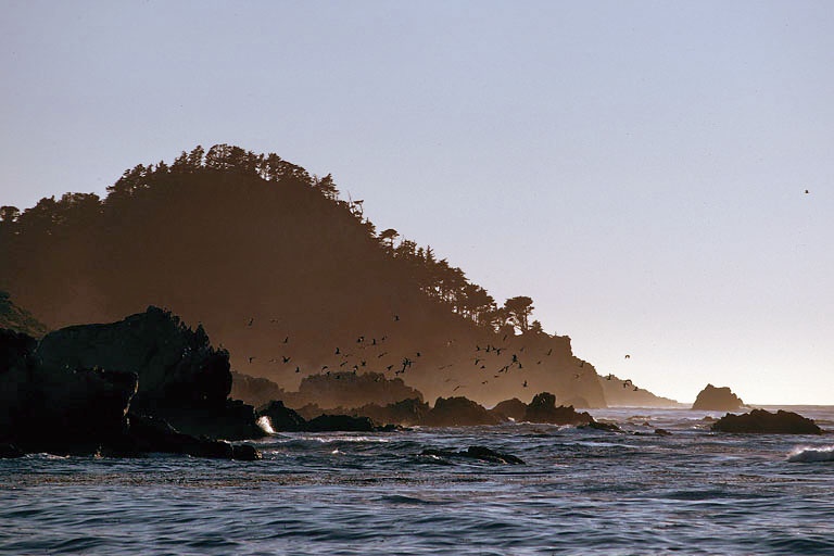 bill-hocker-point-lobos-from-monastery-beach-california-1973