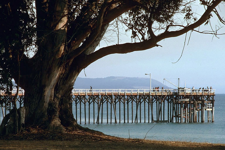 bill-hocker-pier-&-eucalyptus-san-simeon-california-1981