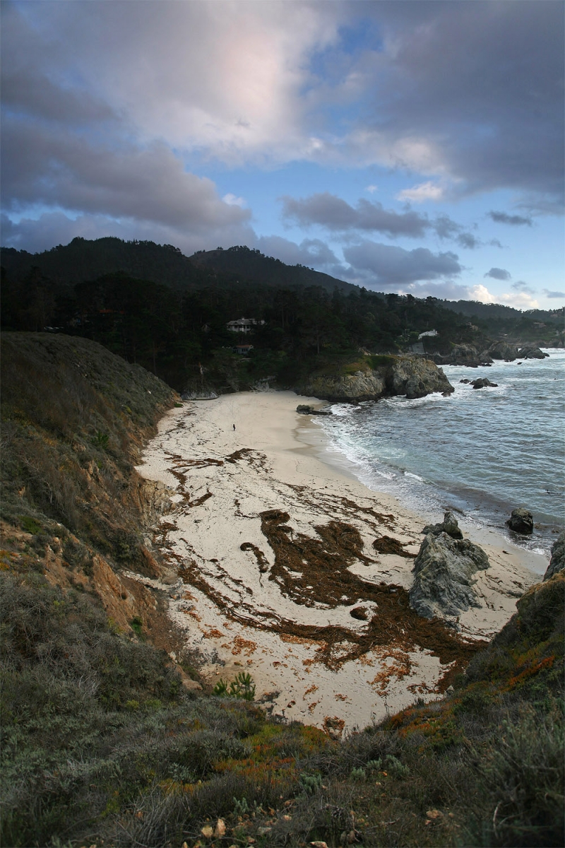 bill-hocker-gibson-beach-point-lobos-california-2008
