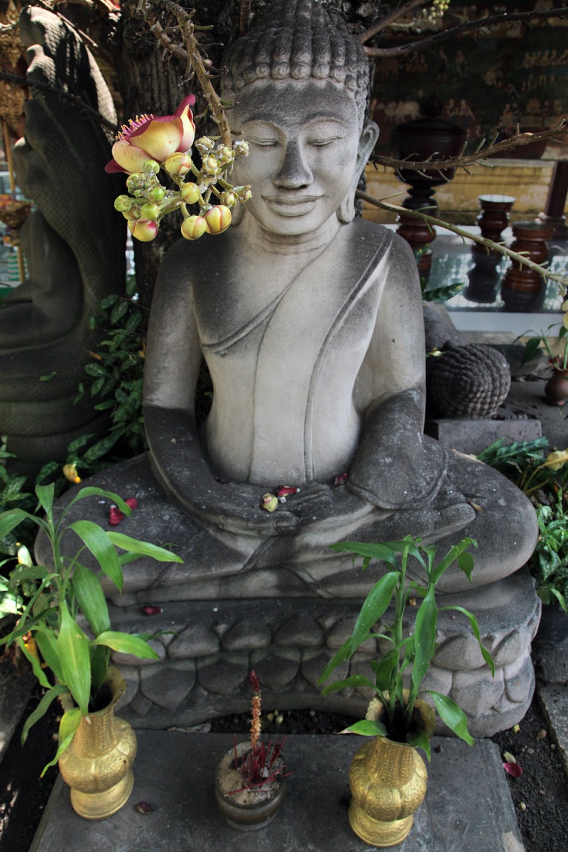 bill-hocker-buddha-and-flower-royal-palace--phnom-penh-cambodia-2010
