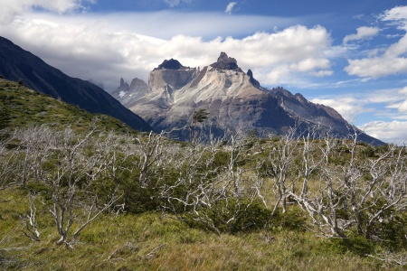 French Valley Trail
Torres Del Paine National Park
Patagonia, Chile