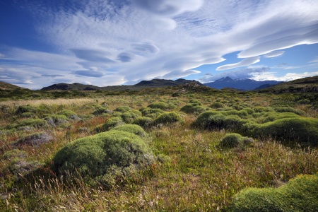 Nordernskjöld Trail
Torres Del Paine National Park
Patagonia, Chile
