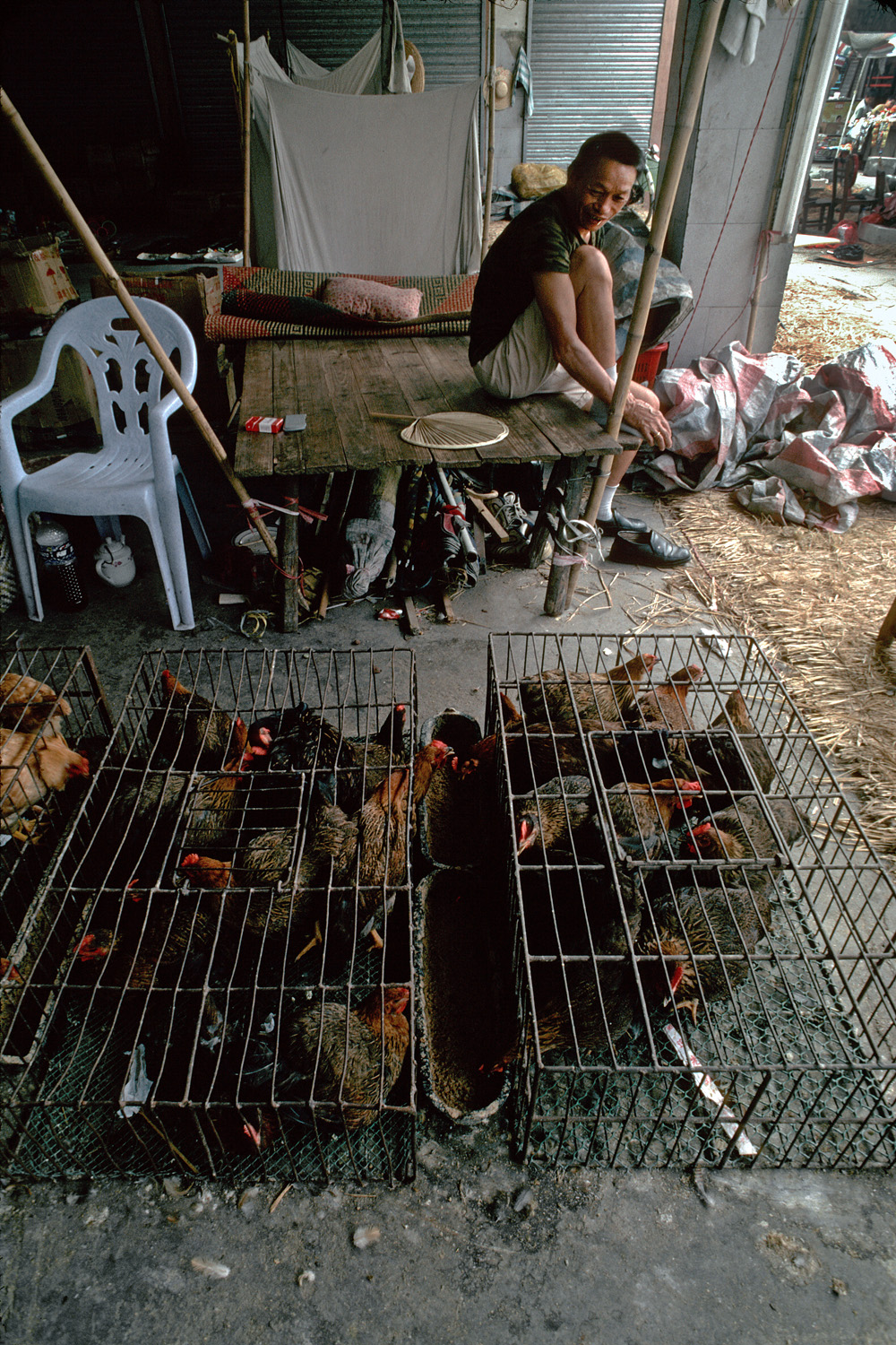 bill-hocker-poultry-merchant-hua-xian-china-2002