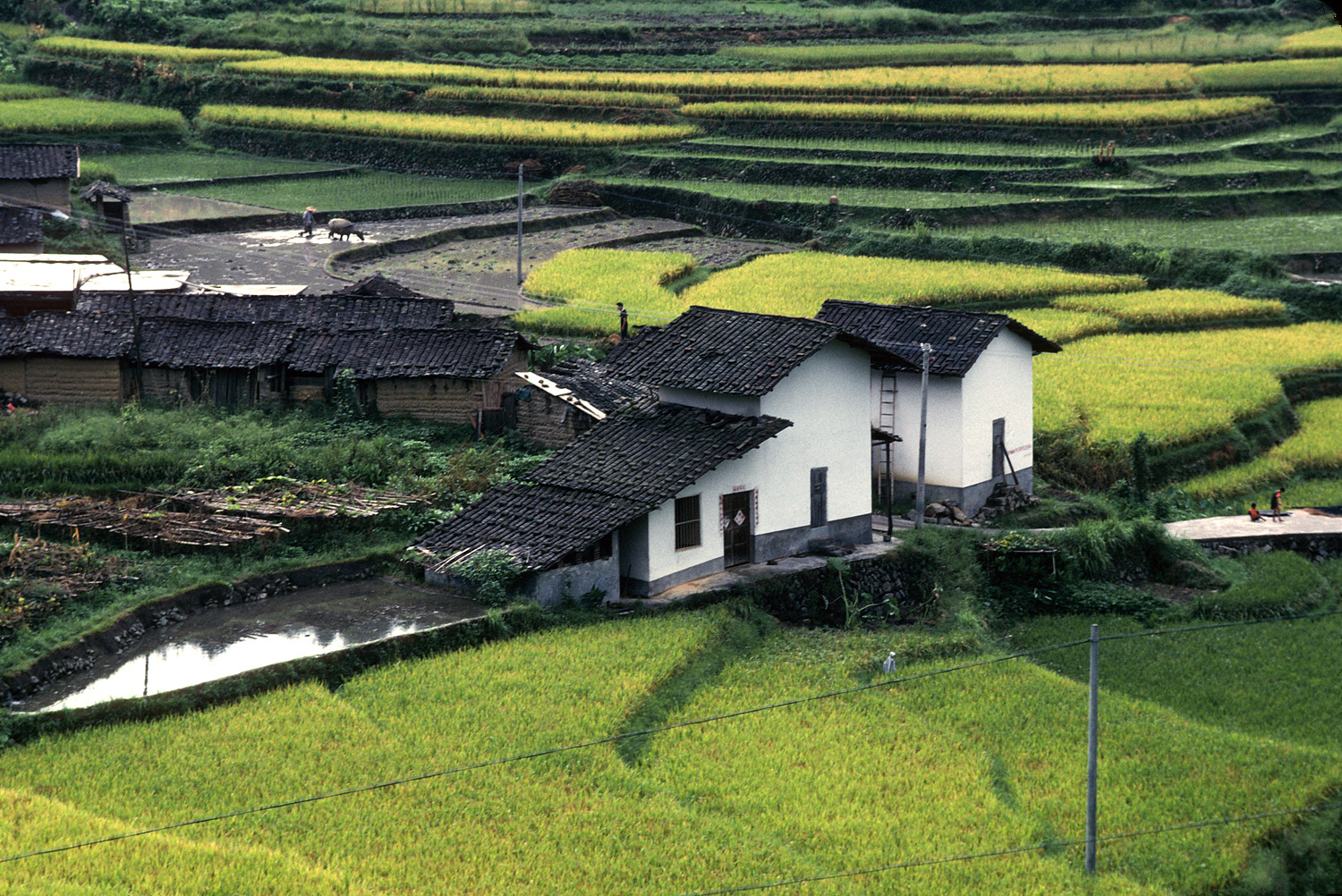 bill-hocker-farmhouse-fujian-china-2002