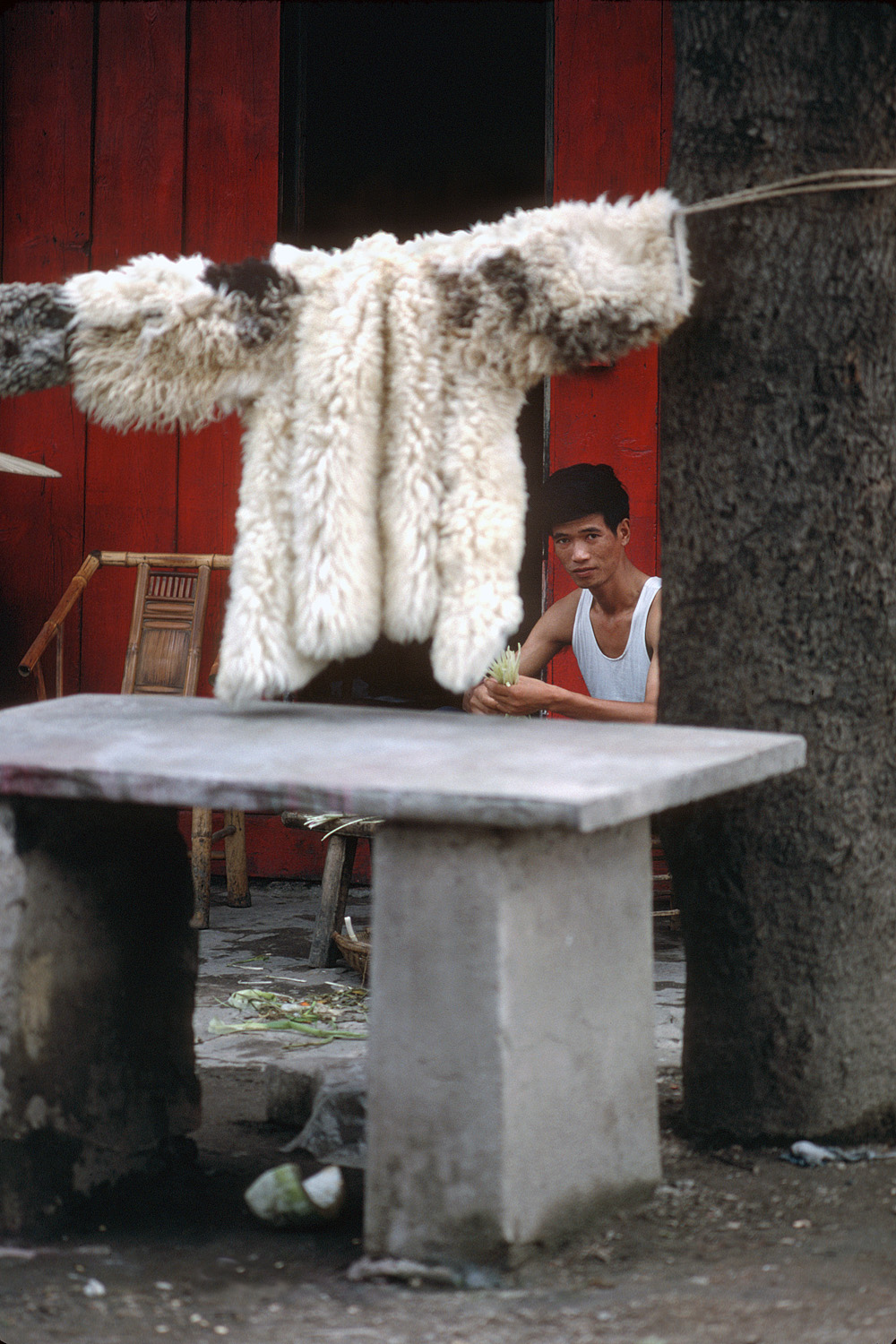 bill-hocker-chengdu-sichuan-china-1981