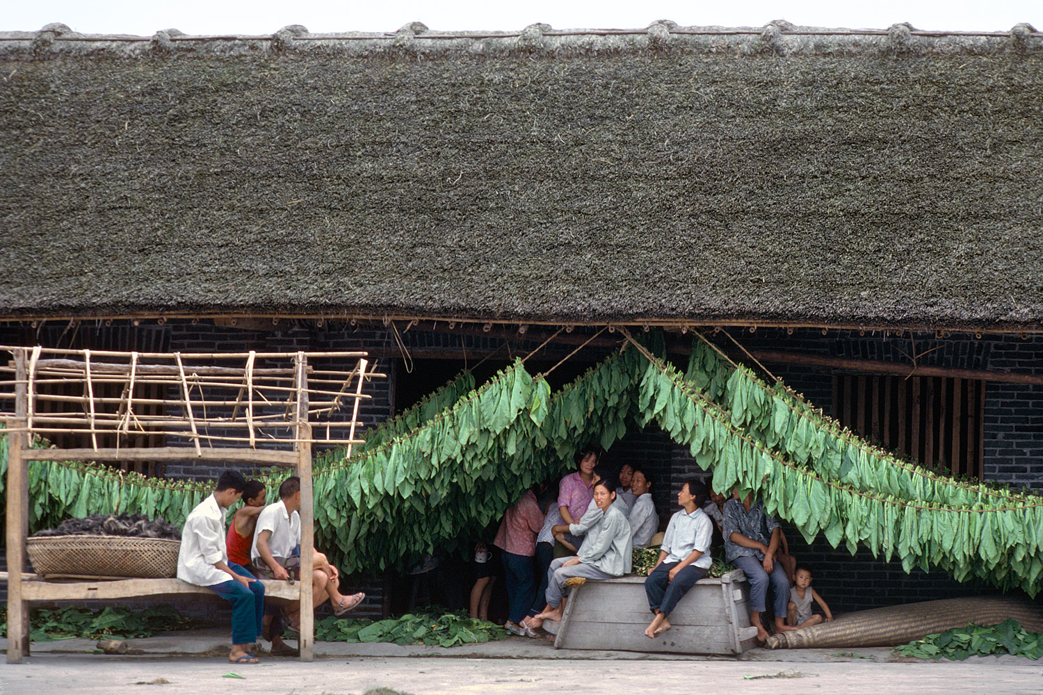 bill-hocker-tobacco-barn-sichuan-china-1981