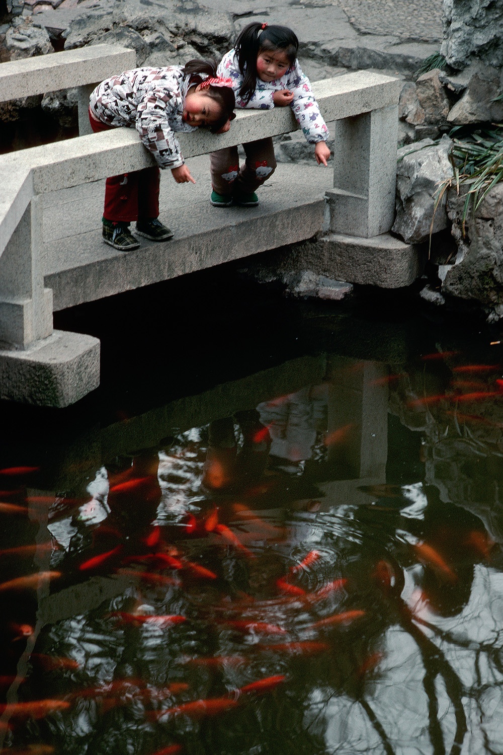 bill-hocker-coy-public-park-shanghai-china-1988