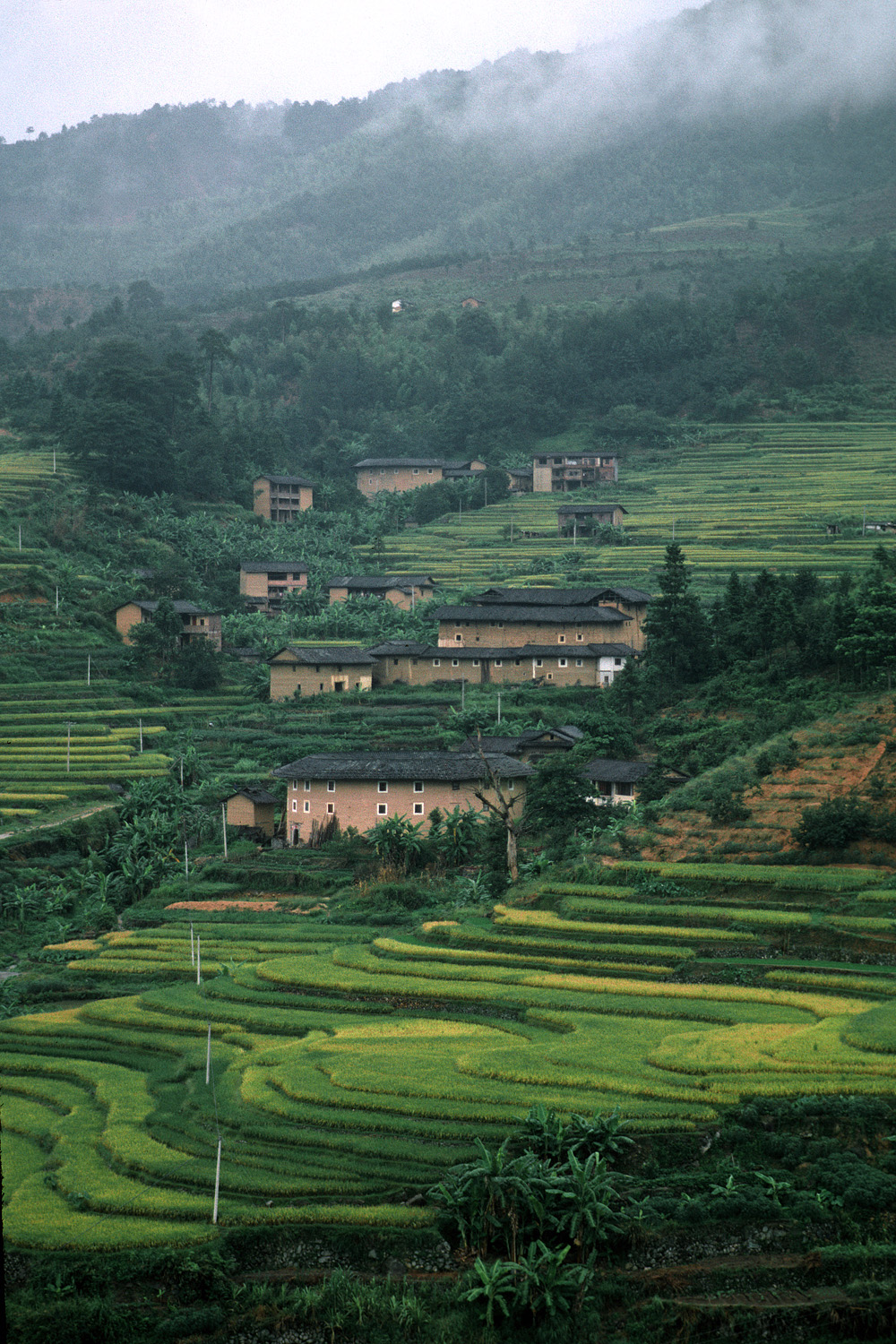 bill-hocker-rice-terraces-fujian-china-2002