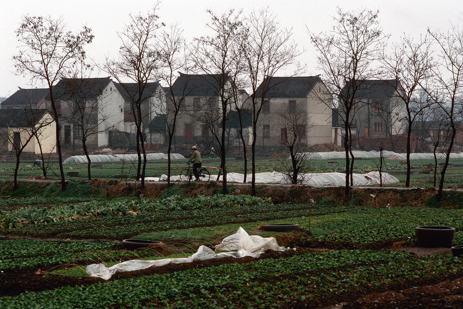 bill-hocker-new-farm-houses-near-suzhou-china-1988