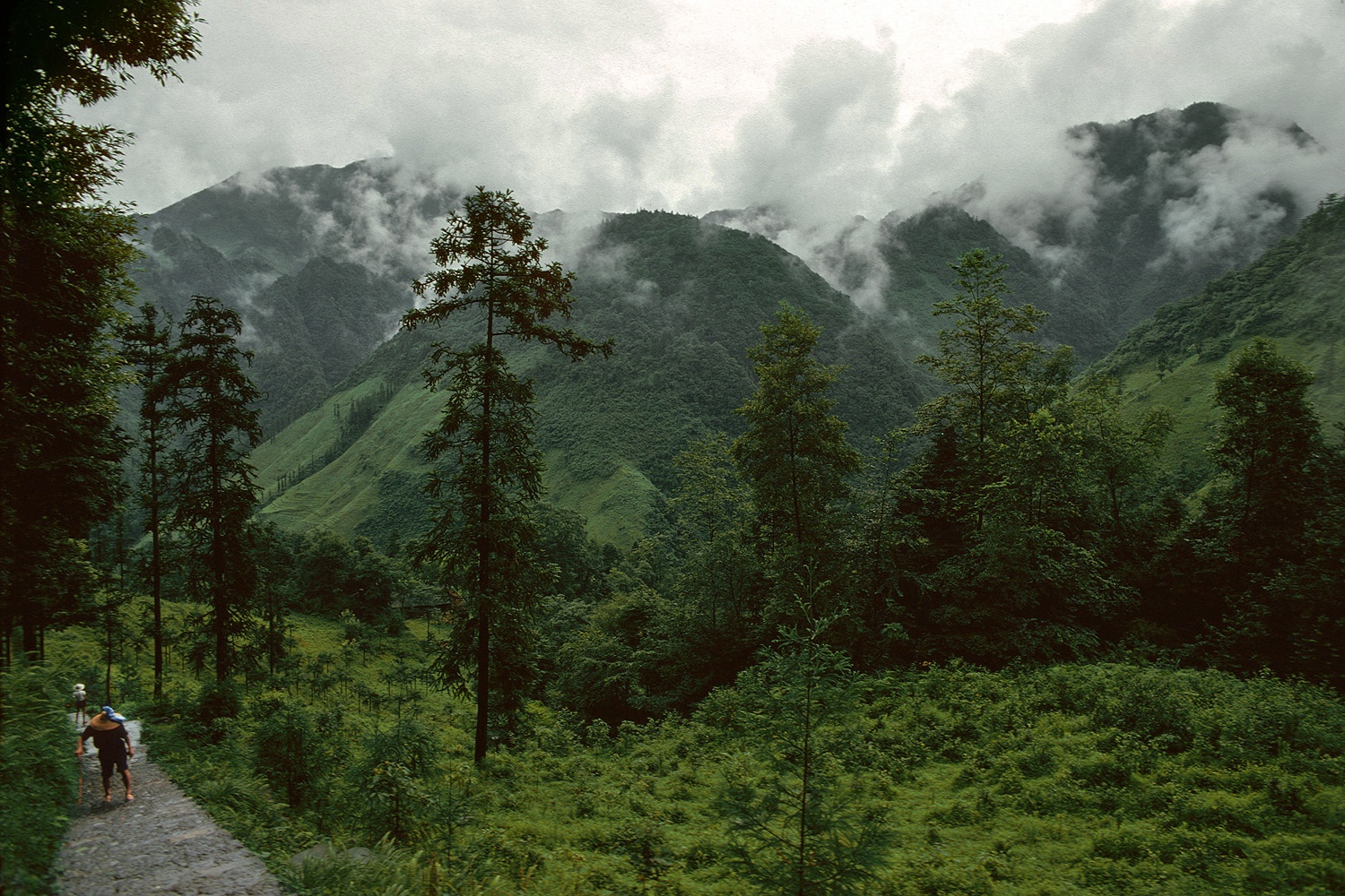 bill-hocker-mountain-trail-emai-mountain--near-leshan-sichuan-china-1981