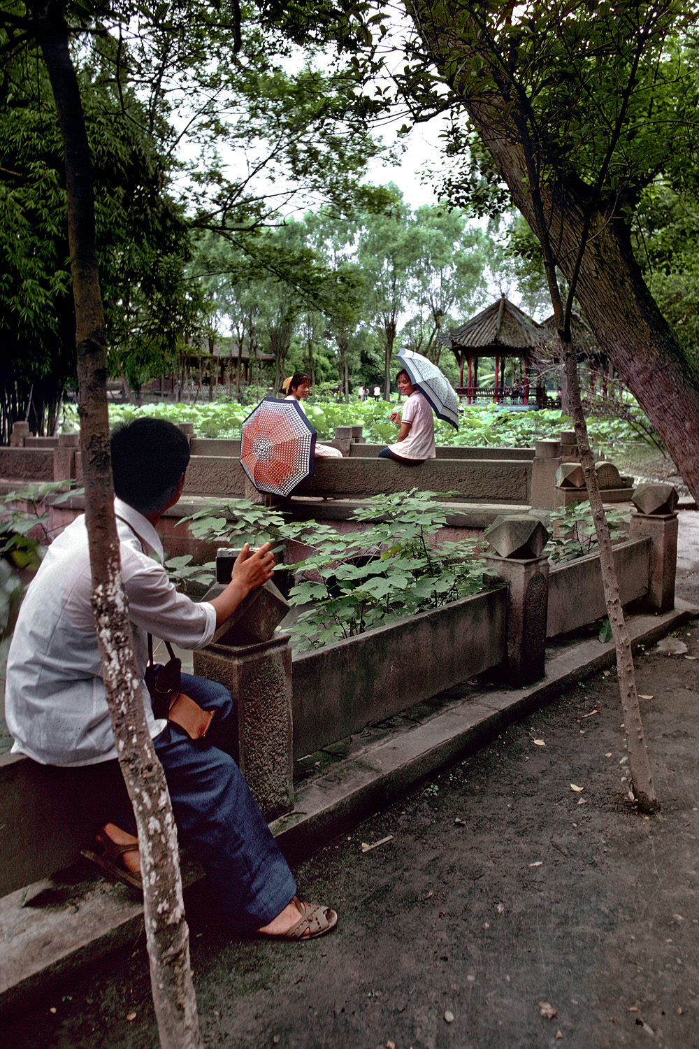 bill-hocker-public-garden-hangzhou-china-1981