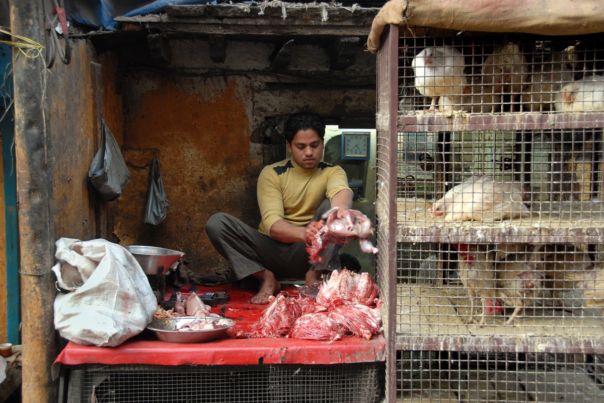 bill-hocker-chicken-vendor-new-delhi-india-2006