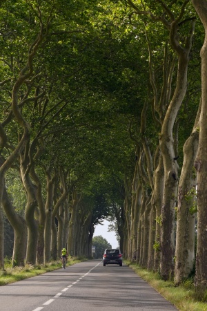 Near Carcassonne
Langedoc, France