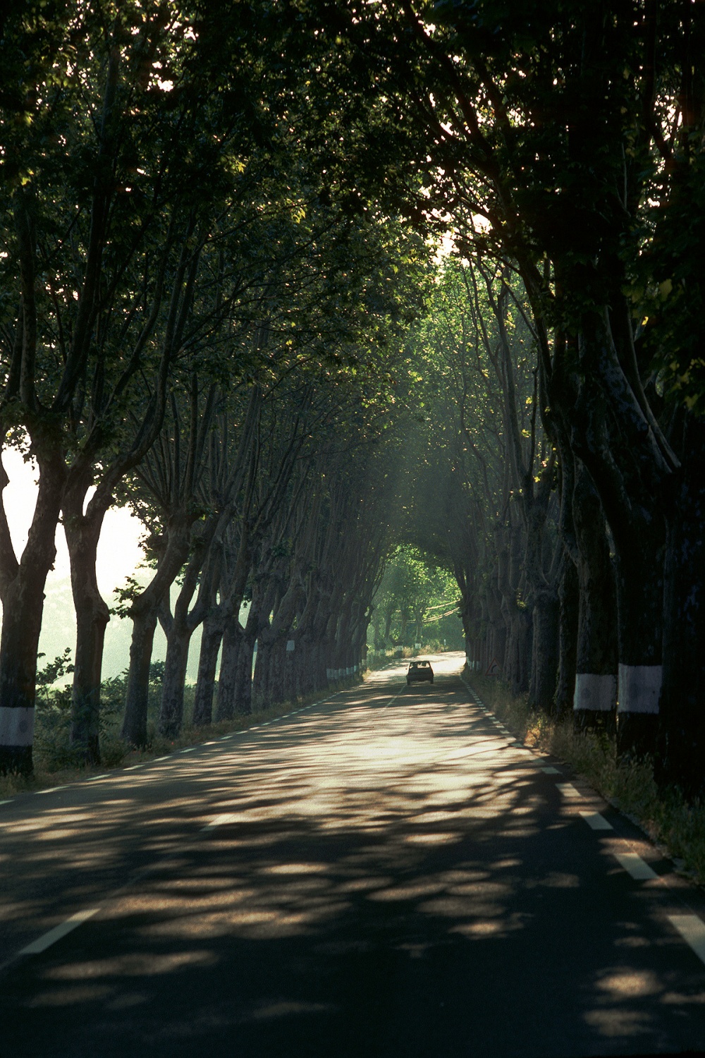 bill-hocker-roadway-provence-france-1990