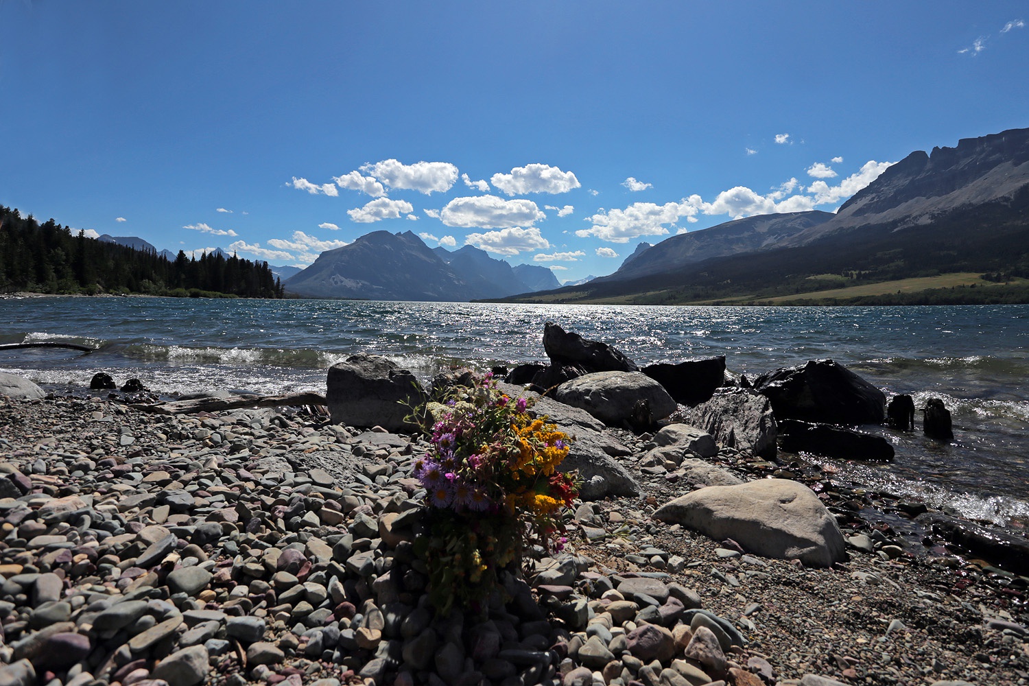 bill-hocker-st-mary-lake-montana-2017