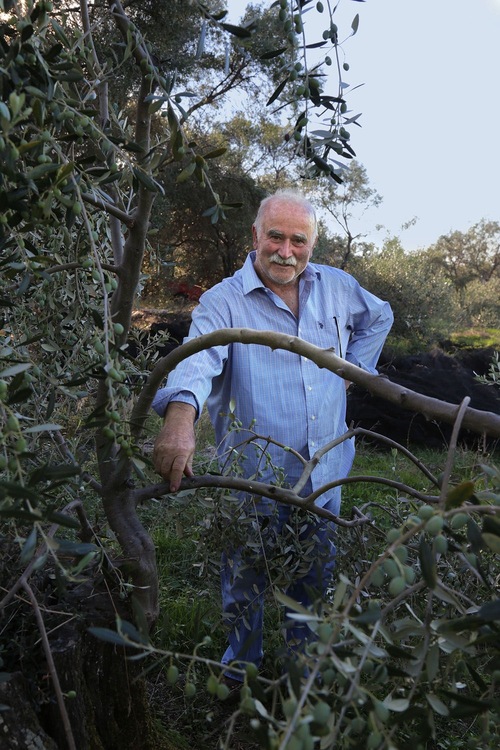 bill-hocker-olive-grower-corfu-greece-2017