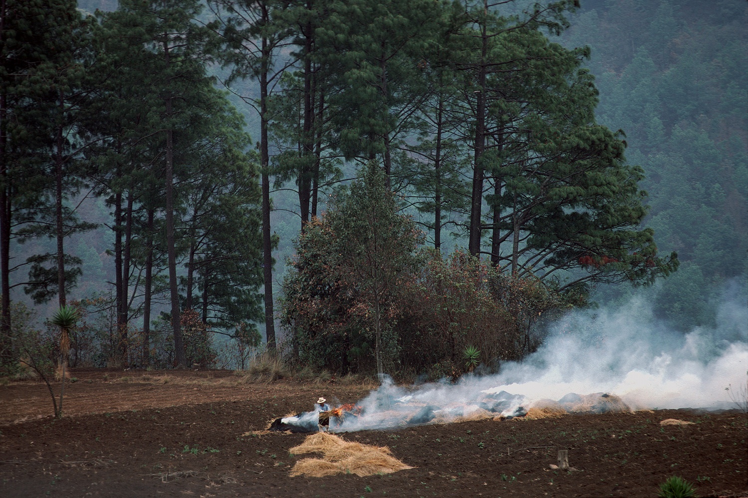 bill-hocker-field-burning-guatemala-1978