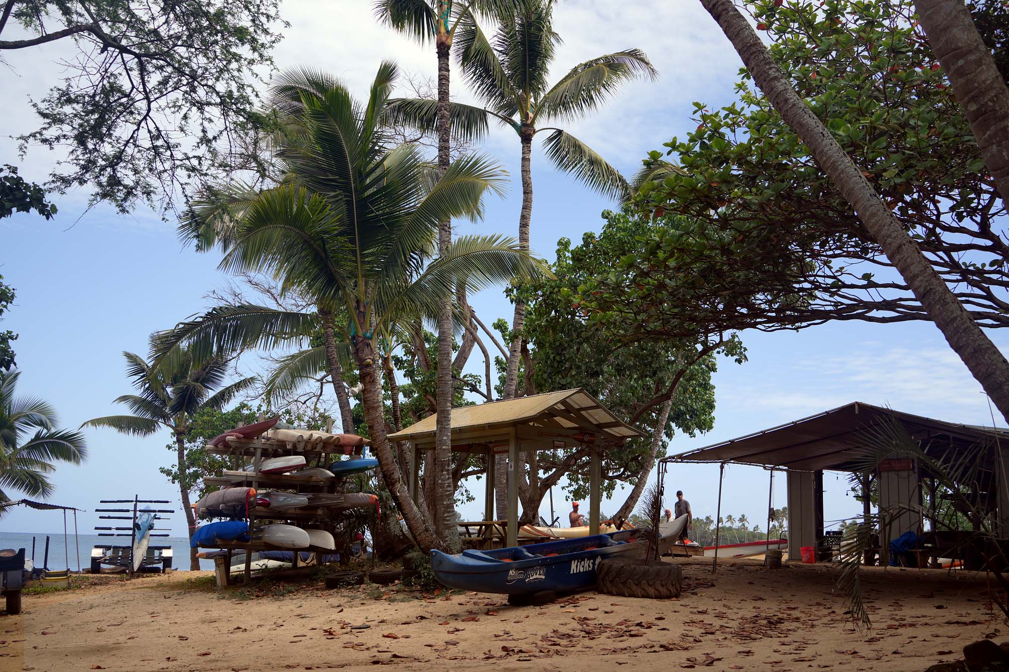 bill-hocker-manu-o-ke-kai-canoe-club-haeliwa-beach-oahu-hawai'i-2024